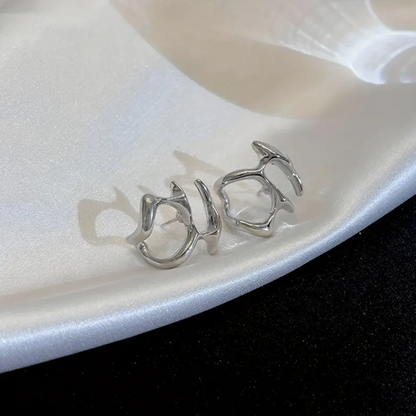 Unique Shape Silvery Earrings