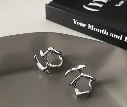 Unique Shape Silvery Earrings